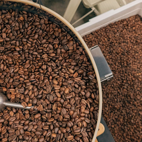Freshly Roasted